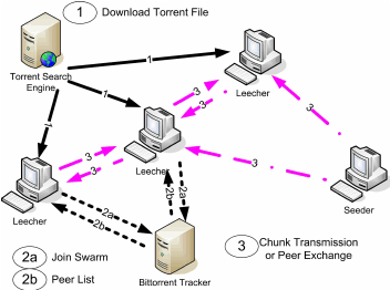 Comparison between tracker-reported swarm statistics and peers actually connected to a torrent client