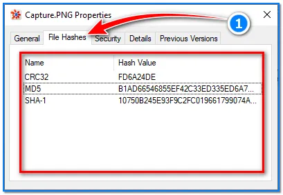 Local antivirus scan and SHA-256 comparison performed before opening a downloaded file