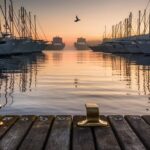 navigating markets for steady success