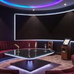 fun singing room features